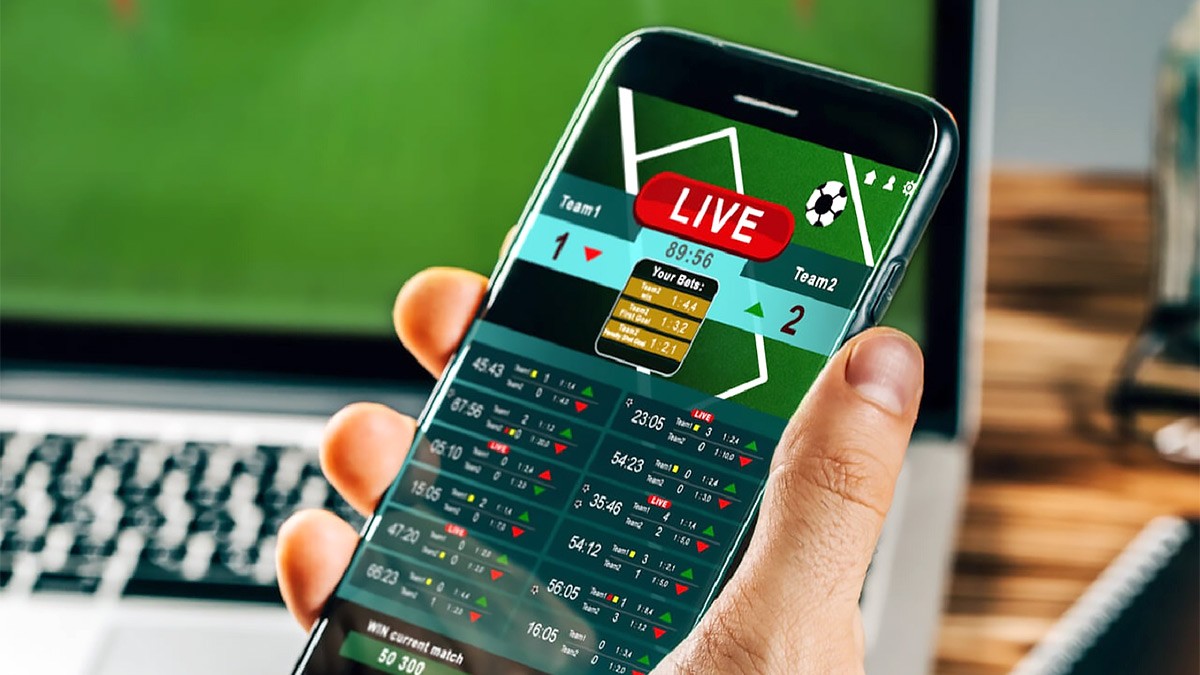 How to gain more through the sport betting options?